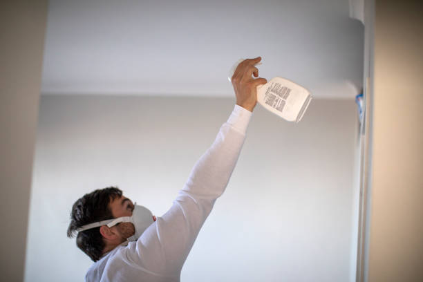 Best Localized Mold Remediation (e.g., coastal areas, humid climates) in Galena Park, TX